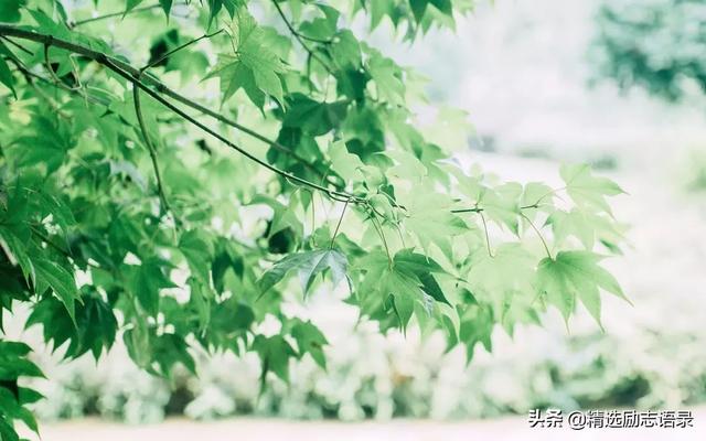 树靠根长，鱼靠水养，人靠什么？