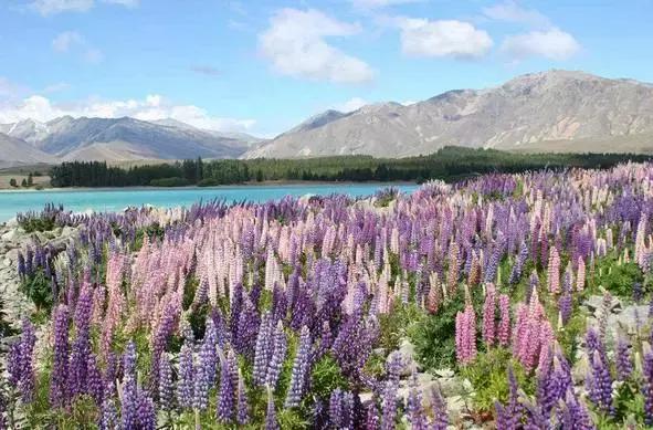 是什么阻止你踏出旅行的第一步？