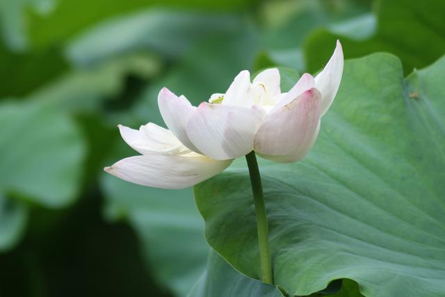 怎样才能在开会时，侃侃而谈，镇住全场？给你发言模板直接用！