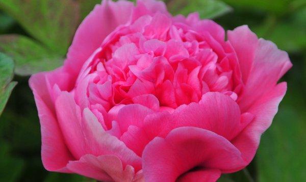 简短成熟的励志句子,很燃很阳光,激发你的斗志