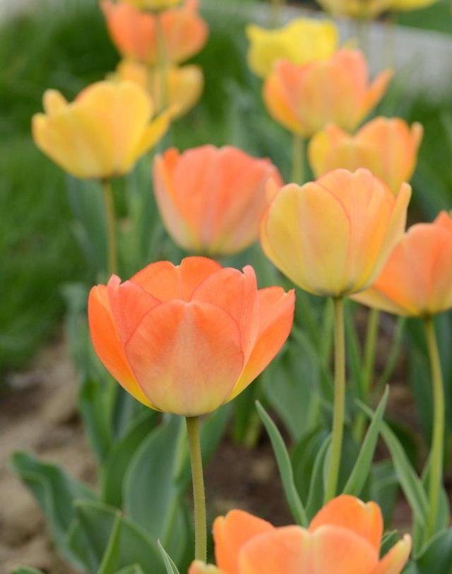 简短成熟的励志句子,很燃很阳光,激发你的斗志