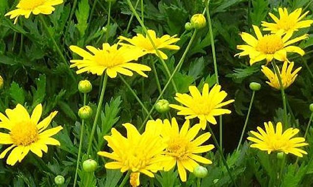 简短成熟的励志句子,很燃很阳光,激发你的斗志