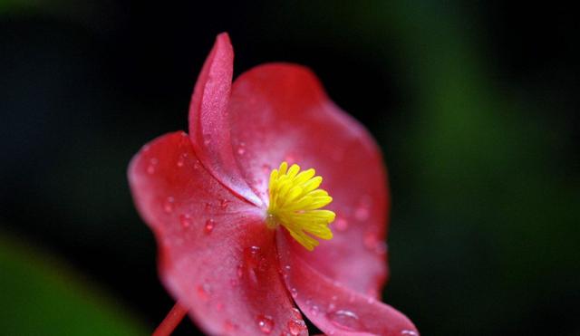 简短成熟的励志句子,很燃很阳光,激发你的斗志