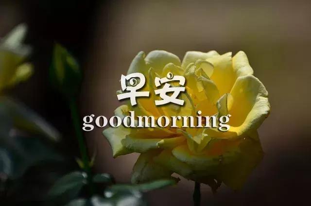 正能量励志早安心语语录 奋斗激励人心的句子图片经典