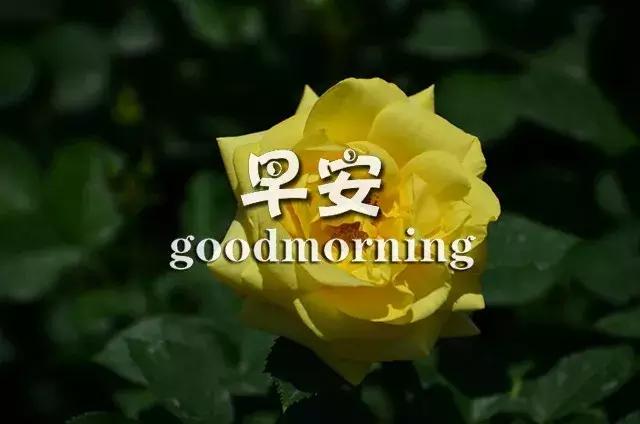 正能量励志早安心语语录 奋斗激励人心的句子图片经典