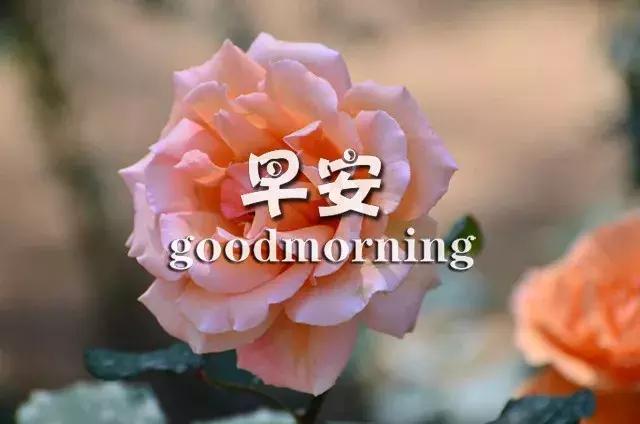 正能量励志早安心语语录 奋斗激励人心的句子图片经典