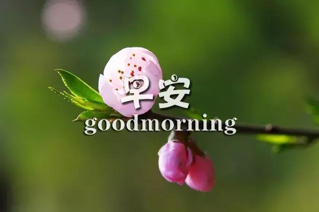 正能量励志早安心语语录 奋斗激励人心的句子图片经典
