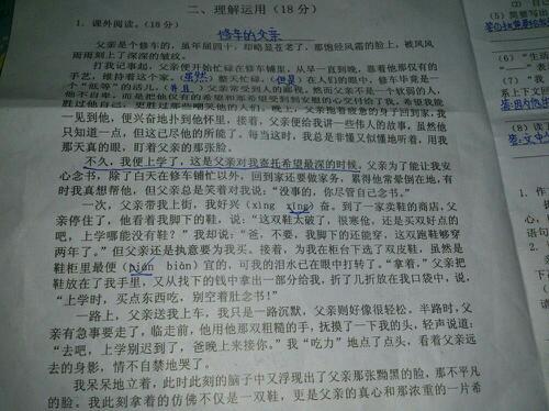 形容去郊外游玩好心情的词语(开心句子表达心情)