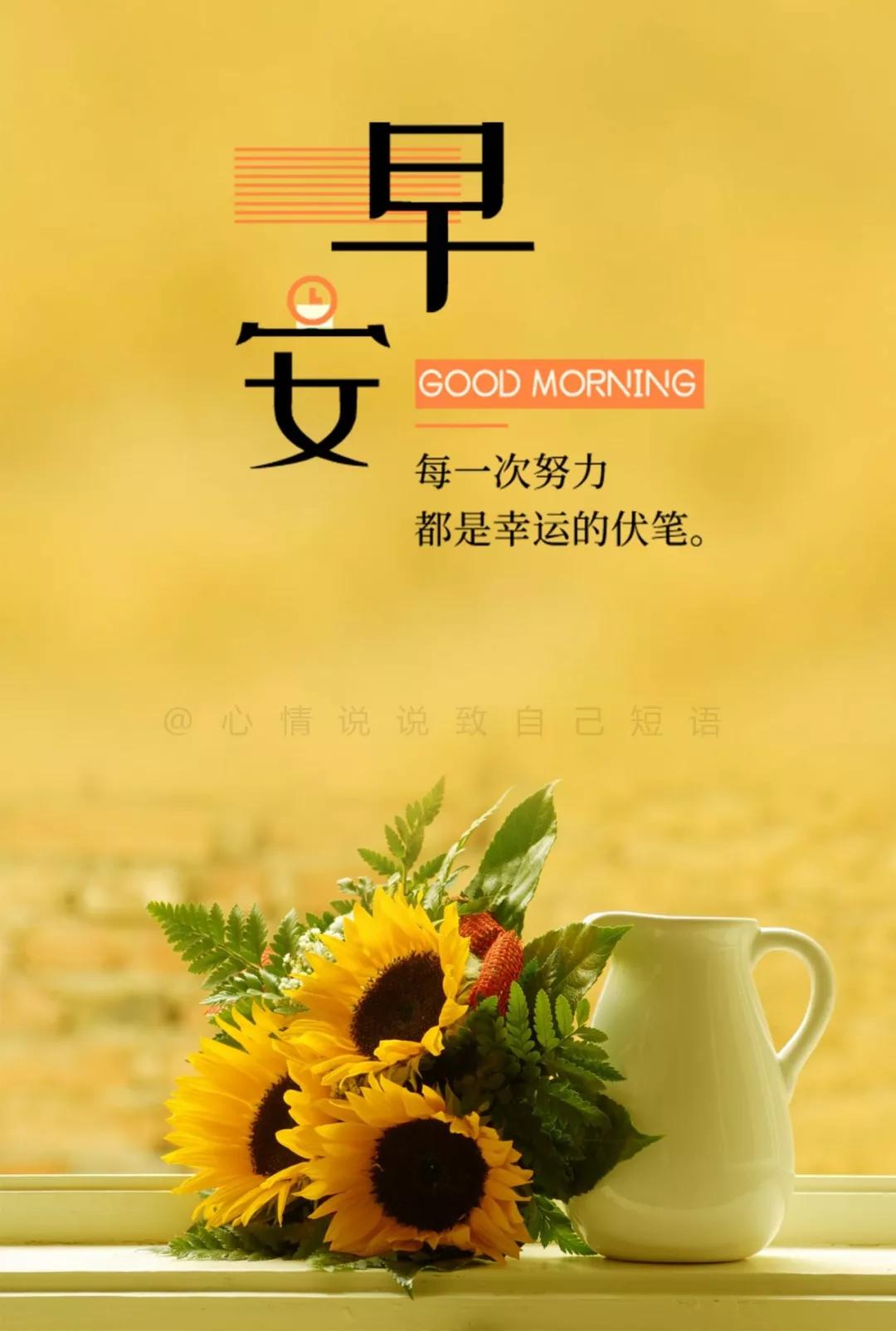 励志明天的句子(励志的句子致自己简短)