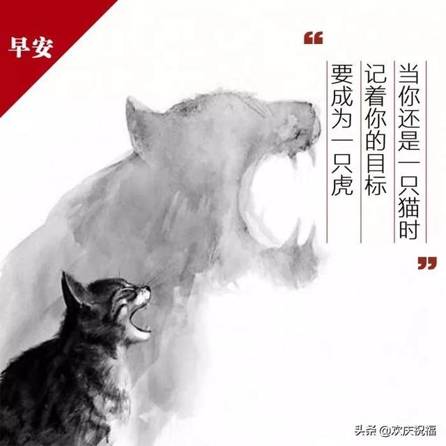 适合发朋友圈心情说说句子,配图说说句子