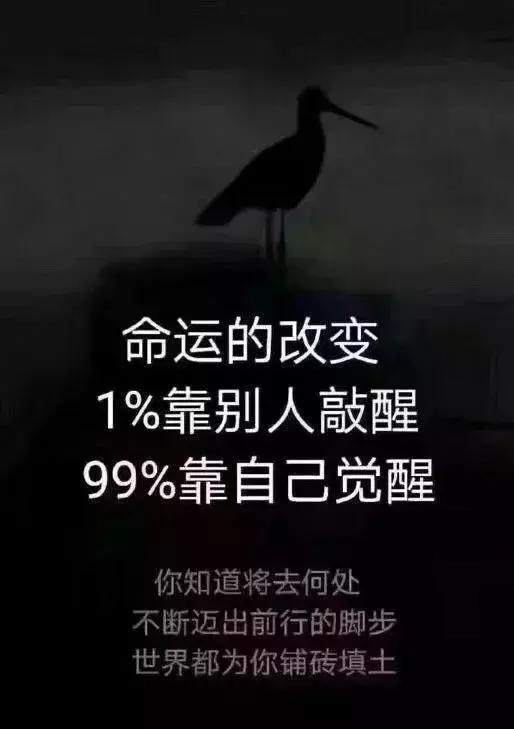 纹身句子励志(中文纹身短句八字以下)