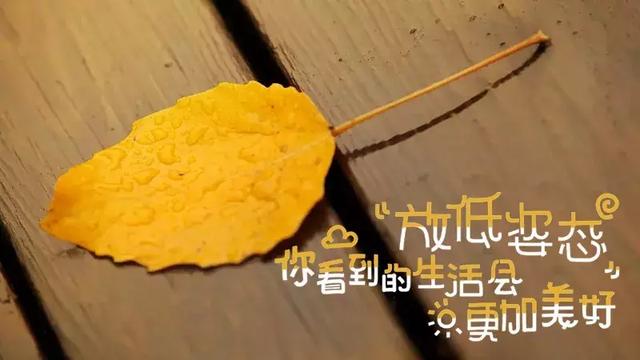 早安心语经典励志哲理语录精选图片