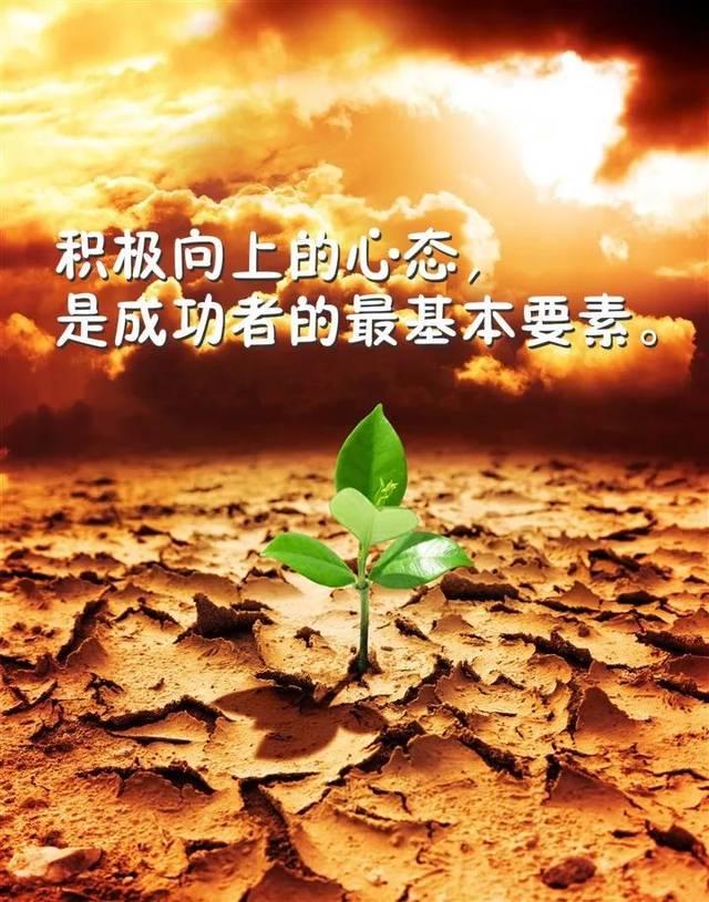 励志短句致自己奋斗英文(2020激励奋斗句子)