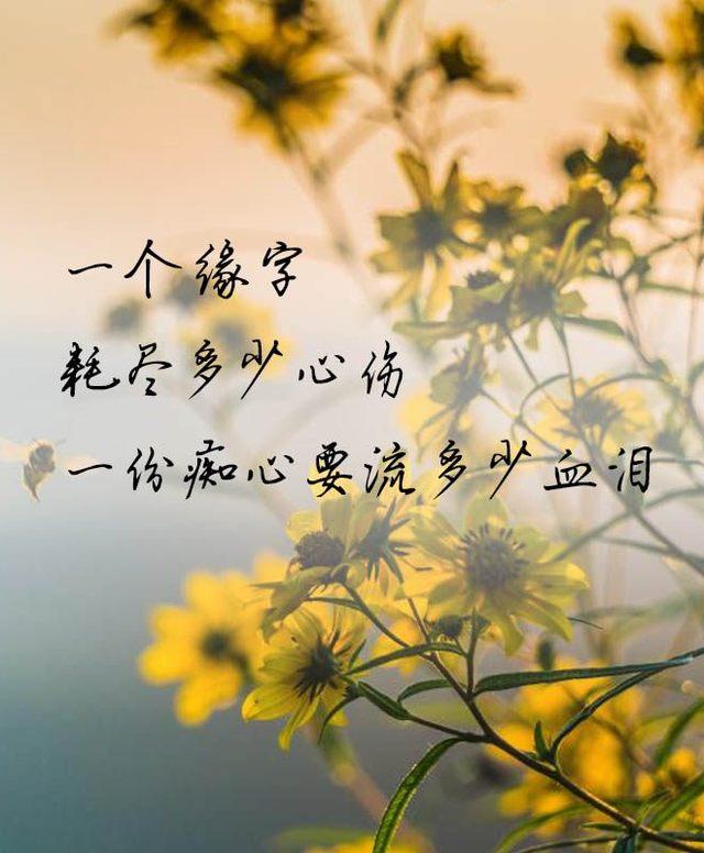 表达心情愉悦的句子(心态快乐语句)