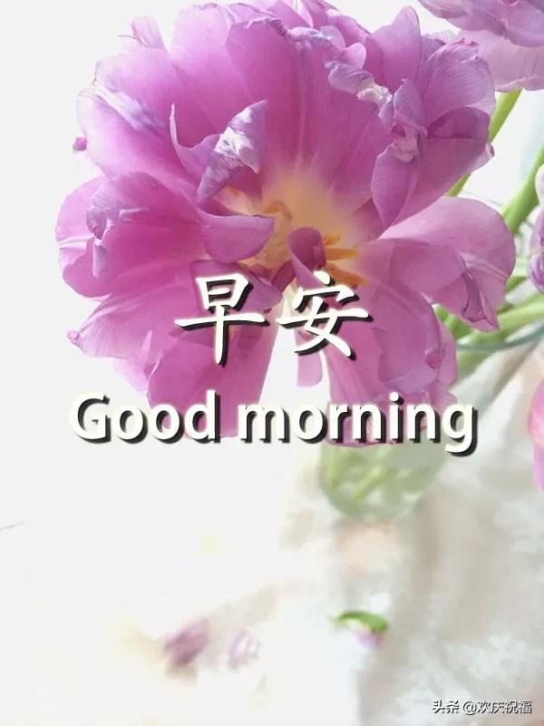 奋斗的句子图片 奋斗的句子图片