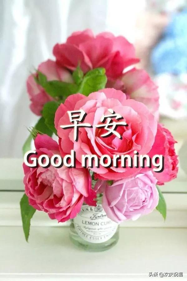 奋斗的句子图片 奋斗的句子图片