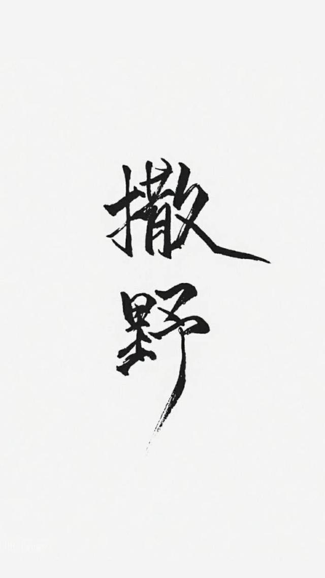 《撒野》中用于早安打卡的励志语录，这句用的人最多