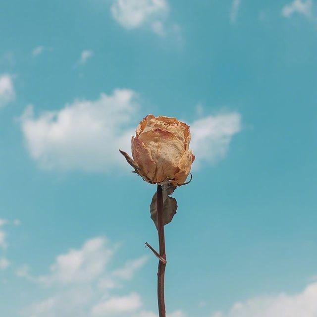 早安奋斗的句子 早安奋斗的句子