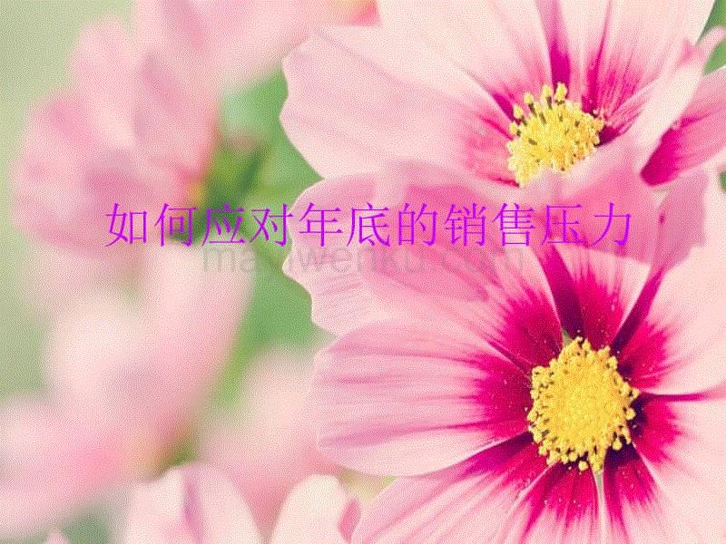 适合早会分享的话题(销售分享小故事和心得)