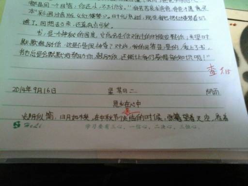 300字的小故事及感悟(情感小故事300字左右)