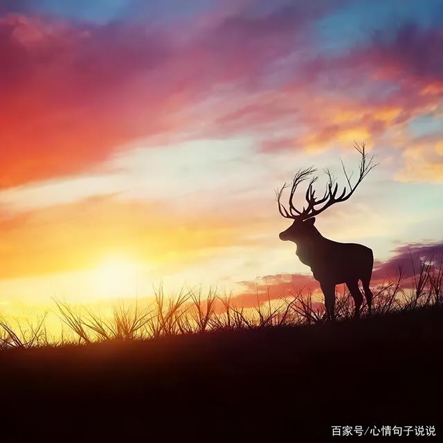 奋斗路上的句子 奋斗路上的句子