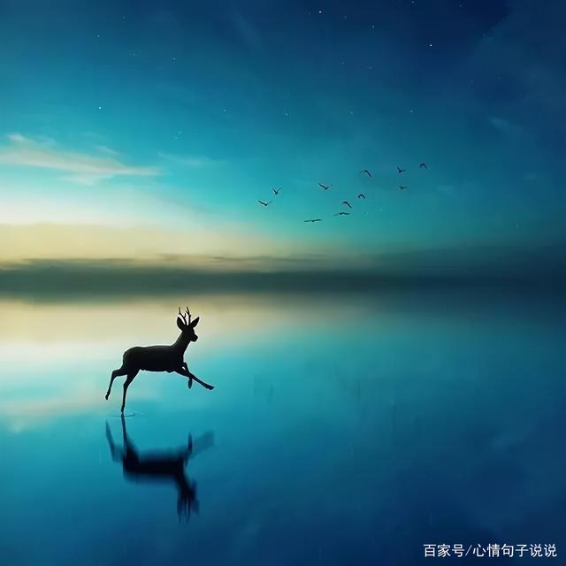 奋斗路上的句子 奋斗路上的句子