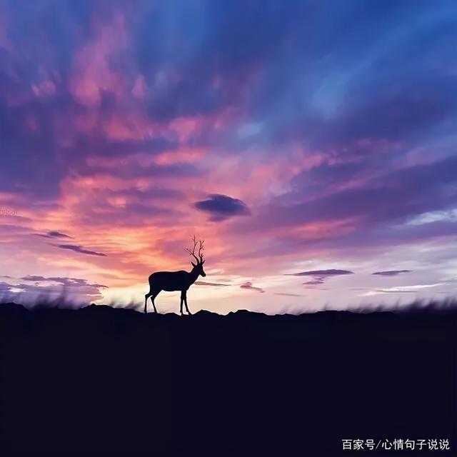 奋斗路上的句子 奋斗路上的句子