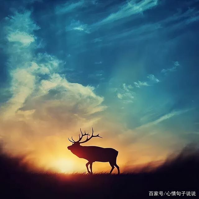 奋斗路上的句子 奋斗路上的句子
