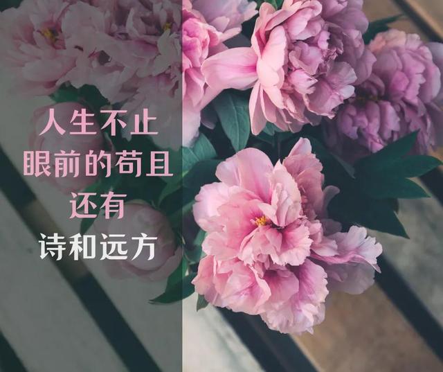 努力的霸气句子 努力的霸气句子