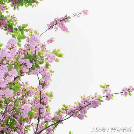 文艺小清新唯美的短句，句句走心，拿去发朋友圈！