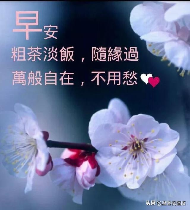 漂亮的早上好祝福图片微信带字,温暖人心的早上好问候语录送朋友