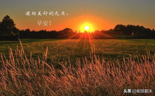 经典励志语录,送给每个早起的人!