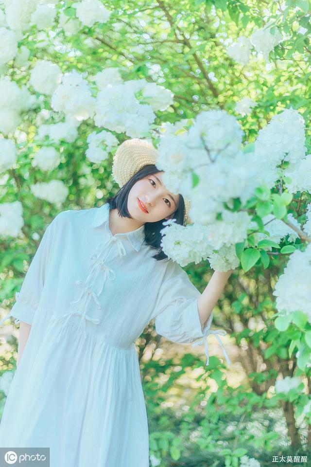 关于青春的美文美句