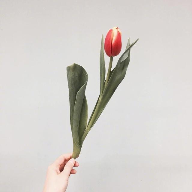 有深度的心灵鸡汤经典语录,哪一句让你大彻大悟?