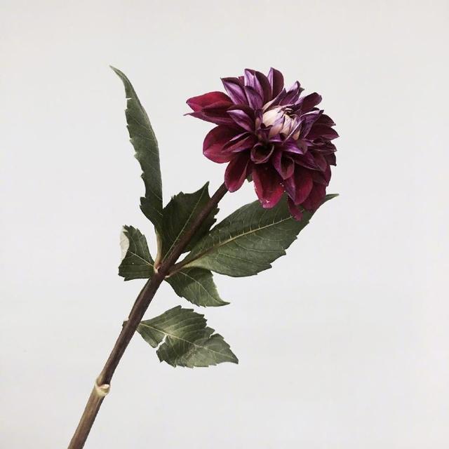 有深度的心灵鸡汤经典语录,哪一句让你大彻大悟?