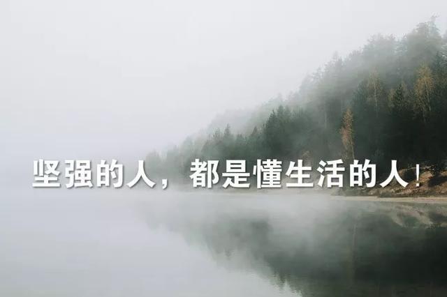 人生经历苦难的励志句子_(苦才是人生的名言短句)