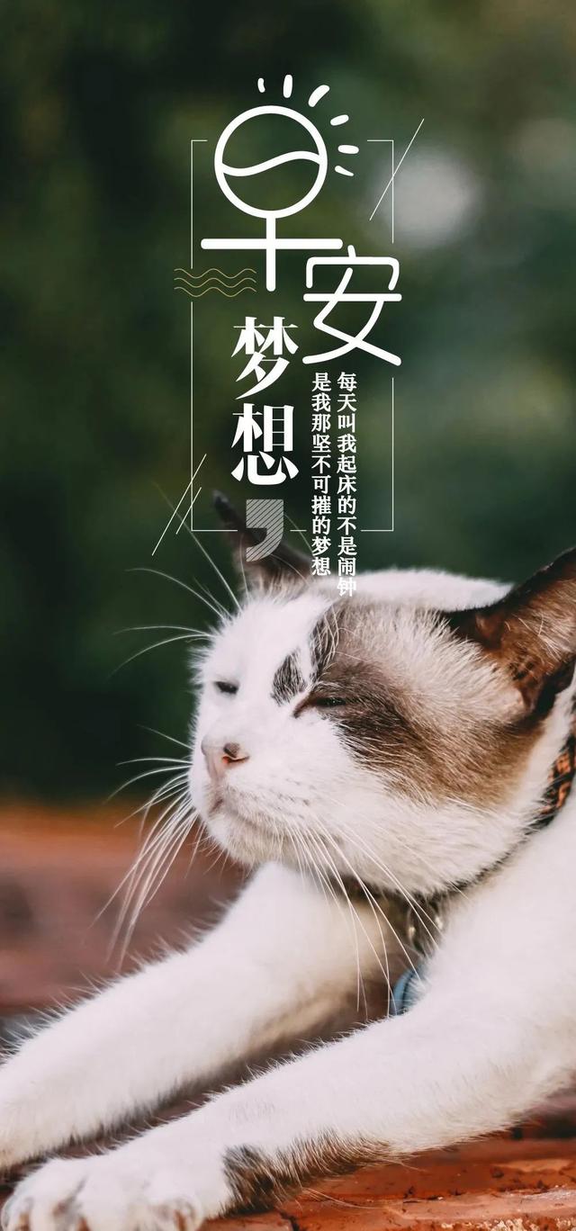 正能量的句子带图片 正能量的句子带图片