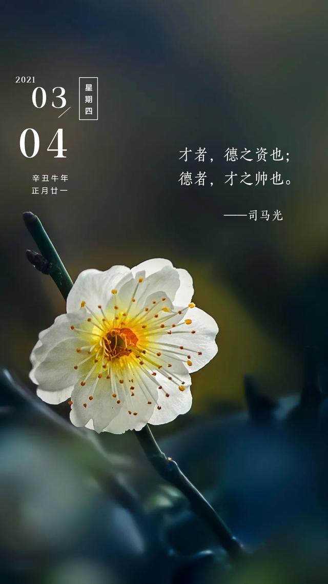 正能量的句子带图片 正能量的句子带图片