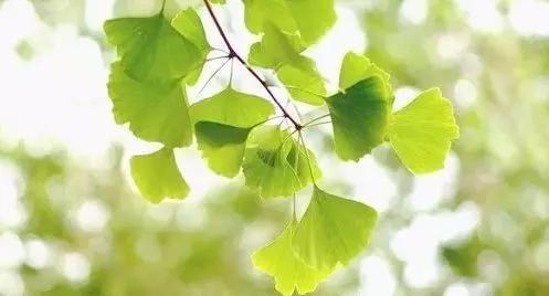五个小故事,简短有趣,充满了感动