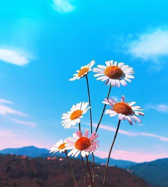 早上正能量朋友圈短句