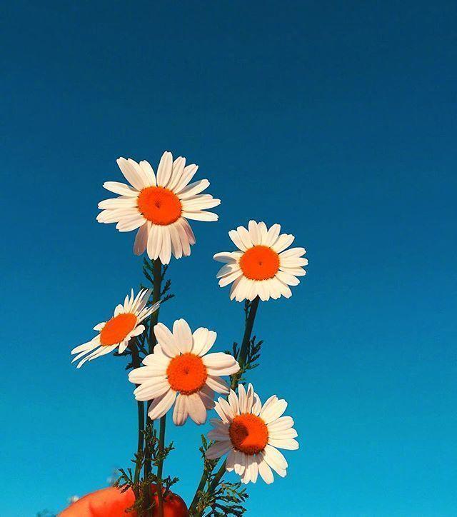 早上正能量朋友圈短句