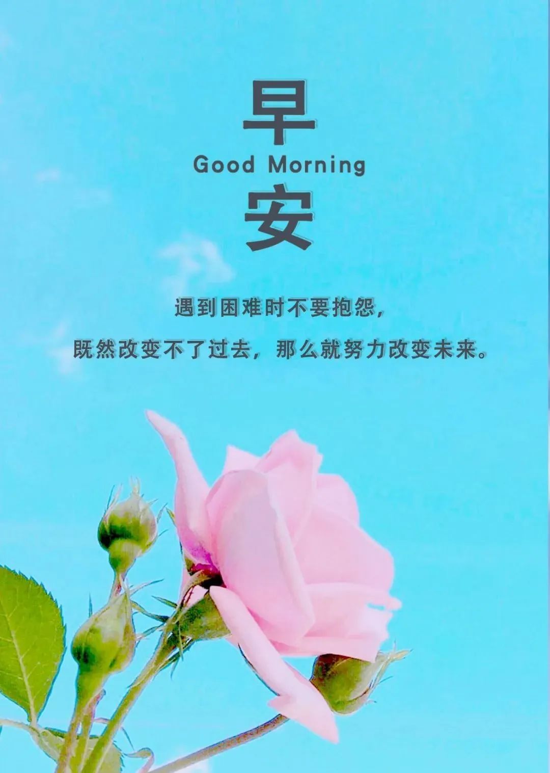 每日早安心语正能量(每日一句早安)