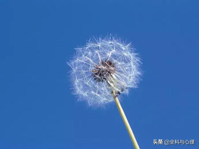 优美的励志短句 优美的励志短句