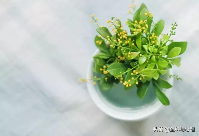 优美的励志短句 优美的励志短句