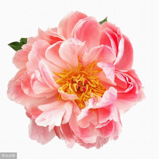 英文美文美句摘抄青春励志 英文美文美句摘抄青春励志