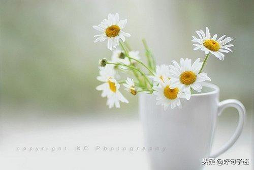 抖音励志短句 抖音励志短句