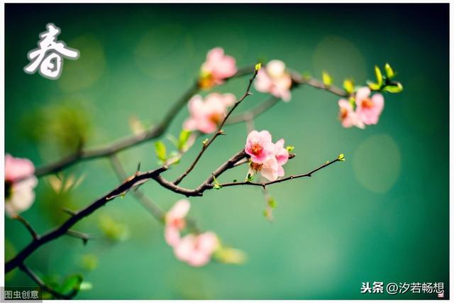 跑步美文美句唯美简短 跑步美文美句唯美简短