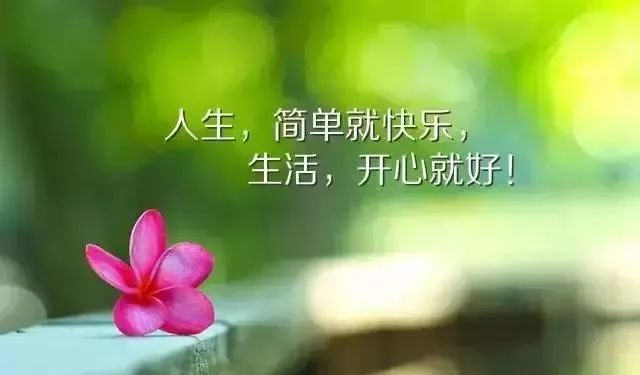 精辟人生短句霸气_(看淡一切释然的说说)