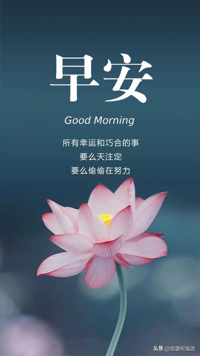 每日励志打卡图片 每日励志打卡图片