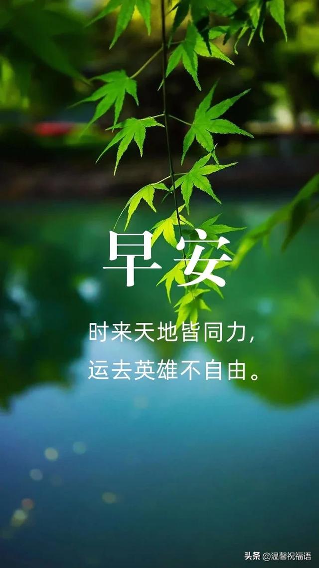 每日励志打卡图片 每日励志打卡图片